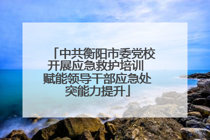 中共衡阳市委党校开展应急救护培训 赋能领导干部应急处突能力提升