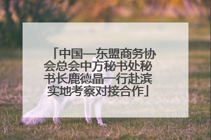 中国—东盟商务协会总会中方秘书处秘书长鹿德晶一行赴滨实地考察对接合作