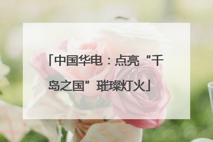 中国华电：点亮“千岛之国”璀璨灯火