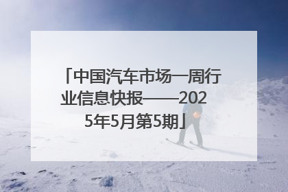 中国汽车市场一周行业信息快报——2025年5月第5期