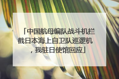 中国航母编队战斗机拦截日本海上自卫队巡逻机，我驻日使馆回应