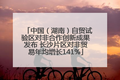 中国（湖南）自贸试验区对非合作创新成果发布 长沙片区对非贸易年均增长141%