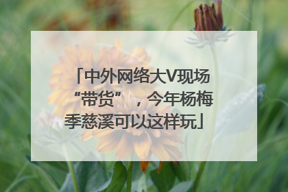 中外网络大V现场“带货”，今年杨梅季慈溪可以这样玩