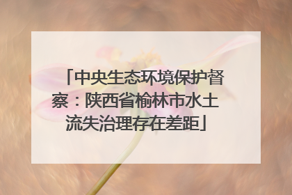 中央生态环境保护督察：陕西省榆林市水土流失治理存在差距