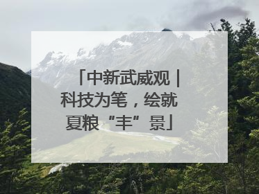 中新武威观｜科技为笔，绘就夏粮“丰”景