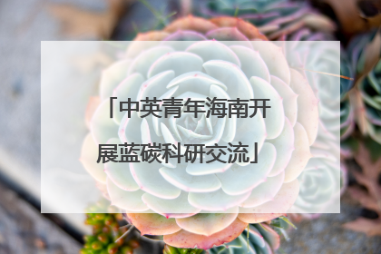 中英青年海南开展蓝碳科研交流