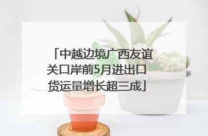 中越边境广西友谊关口岸前5月进出口货运量增长超三成