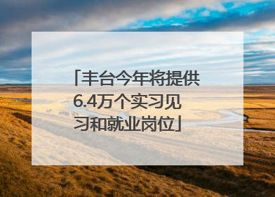 丰台今年将提供6.4万个实习见习和就业岗位