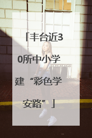 丰台近30所中小学建“彩色学安路”