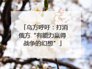 乌方呼吁：打消俄方“有能力赢得战争的幻想”