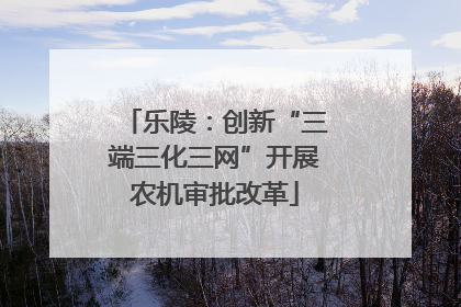 乐陵：创新“三端三化三网”开展农机审批改革