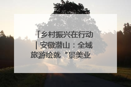 乡村振兴在行动｜安徽潜山：全域旅游绘就“景美业兴民富”新画卷