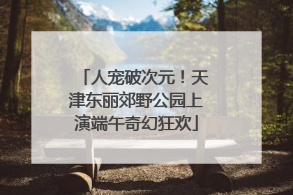 人宠破次元！天津东丽郊野公园上演端午奇幻狂欢