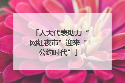 人大代表助力“网红夜市”迎来“公约时代”