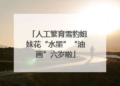 人工繁育雪豹姐妹花“水墨”“油画”六岁啦