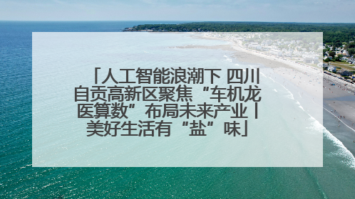 人工智能浪潮下 四川自贡高新区聚焦“车机龙医算数”布局未来产业丨美好生活有“盐”味