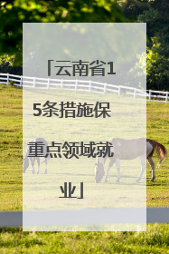 云南省15条措施保重点领域就业