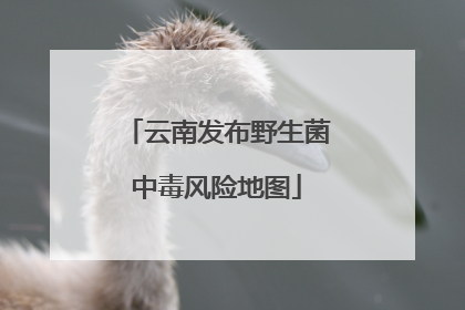 云南发布野生菌中毒风险地图