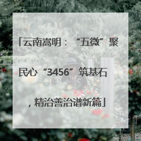 云南嵩明：“五微”聚民心“3456”筑基石，精治善治谱新篇