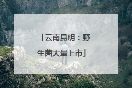 云南昆明：野生菌大量上市
