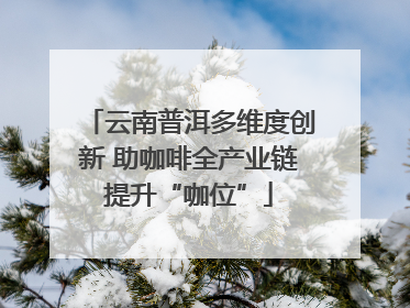 云南普洱多维度创新 助咖啡全产业链提升“咖位”