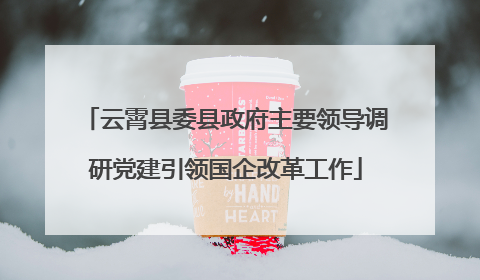 云霄县委县政府主要领导调研党建引领国企改革工作