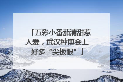 五彩小番茄清甜惹人爱，武汉种博会上好多“尖板眼”