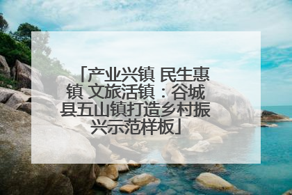 产业兴镇 民生惠镇 文旅活镇：谷城县五山镇打造乡村振兴示范样板