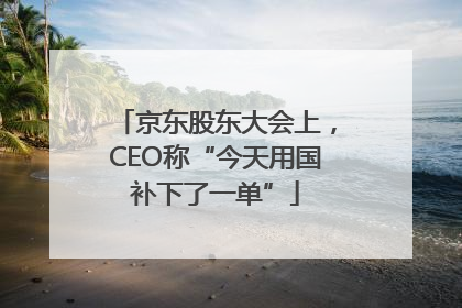京东股东大会上，CEO称“今天用国补下了一单”