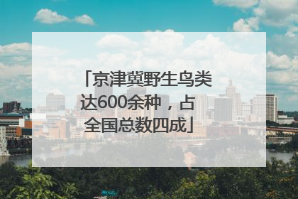 京津冀野生鸟类达600余种，占全国总数四成