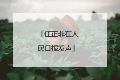 任正非在人民日报发声