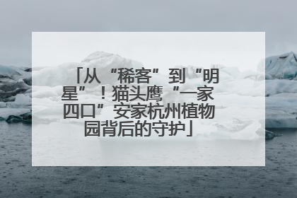 从“稀客”到“明星”！猫头鹰“一家四口”安家杭州植物园背后的守护