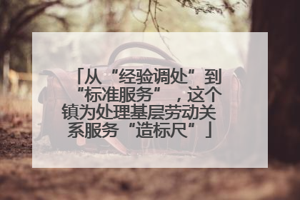 从“经验调处”到“标准服务”，这个镇为处理基层劳动关系服务“造标尺”