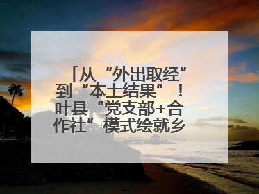 从“外出取经”到“本土结果”！叶县“党支部+合作社”模式绘就乡村振兴新图景