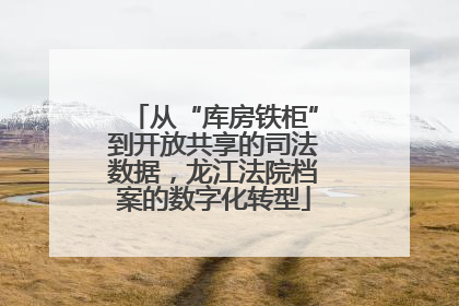 从“库房铁柜”到开放共享的司法数据，龙江法院档案的数字化转型