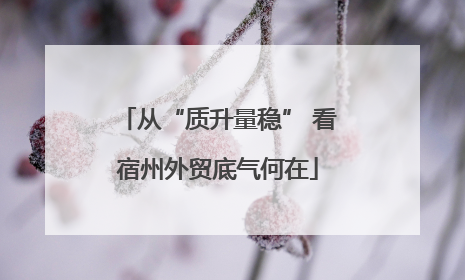 从“质升量稳” 看宿州外贸底气何在