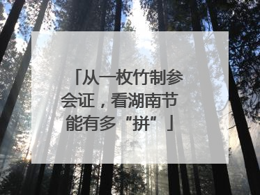 从一枚竹制参会证，看湖南节能有多“拼”