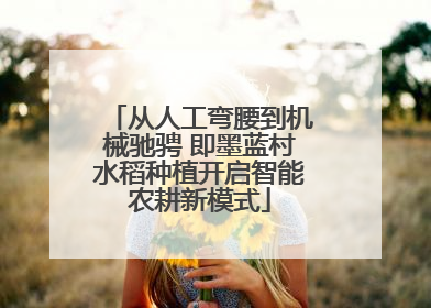 从人工弯腰到机械驰骋 即墨蓝村水稻种植开启智能农耕新模式