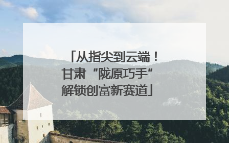 从指尖到云端！甘肃“陇原巧手”解锁创富新赛道