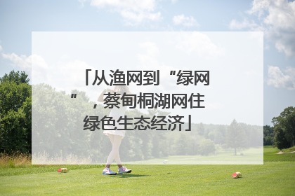 从渔网到“绿网”，蔡甸桐湖网住绿色生态经济