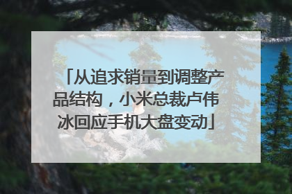 从追求销量到调整产品结构，小米总裁卢伟冰回应手机大盘变动