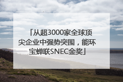 从超3000家全球顶尖企业中强势突围，能环宝蝉联SNEC金奖