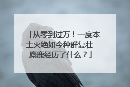 从零到过万！一度本土灭绝如今种群复壮 麋鹿经历了什么？