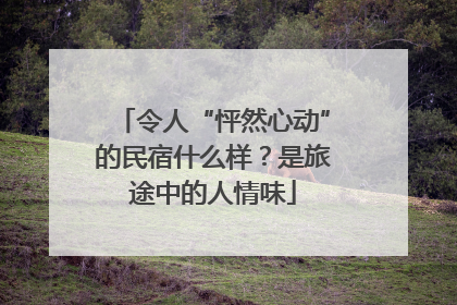 令人“怦然心动”的民宿什么样？是旅途中的人情味