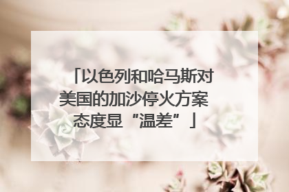 以色列和哈马斯对美国的加沙停火方案态度显“温差”