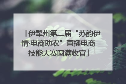 伊犁州第二届“苏韵伊情·电商助农”直播电商技能大赛圆满收官