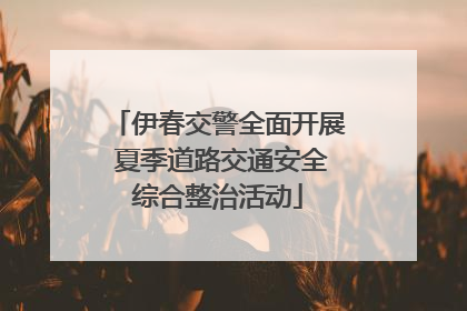 伊春交警全面开展 夏季道路交通安全综合整治活动