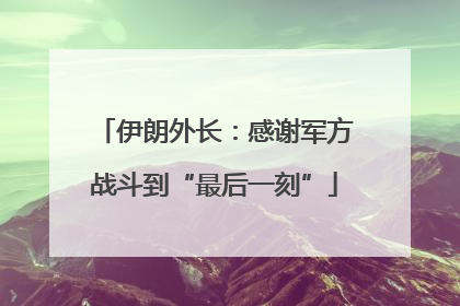 伊朗外长：感谢军方战斗到“最后一刻”