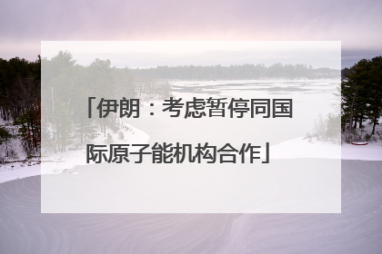 伊朗：考虑暂停同国际原子能机构合作