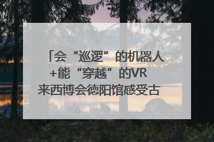 会“巡逻”的机器人+能“穿越”的VR 来西博会德阳馆感受古蜀文明与现代智造的时空对话｜西博视界